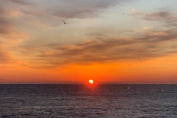 [국악와인열차]  12/31 해맞이 울진 온전& 망향정 1박2일 기차여행